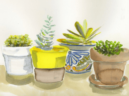 Screen_Shot_2015-05-22_at_11.46.39_AM