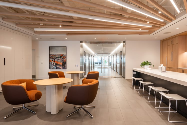 Large framed canvas print of Boston in Robinson+Cole's new office. Jodie Baehre, "Boston Rooftops 3"