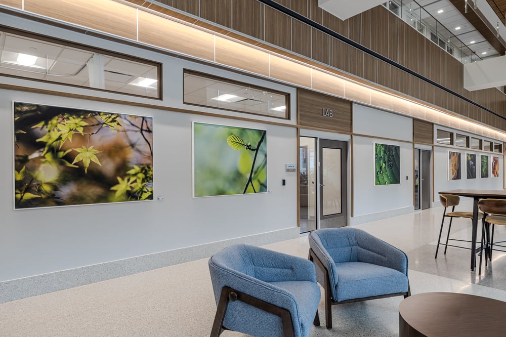Healthcare Design, Patient Experience
