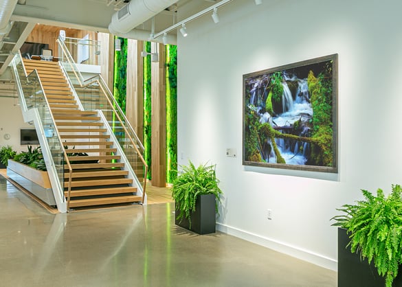 The Intersection of Art and Biophilic Design